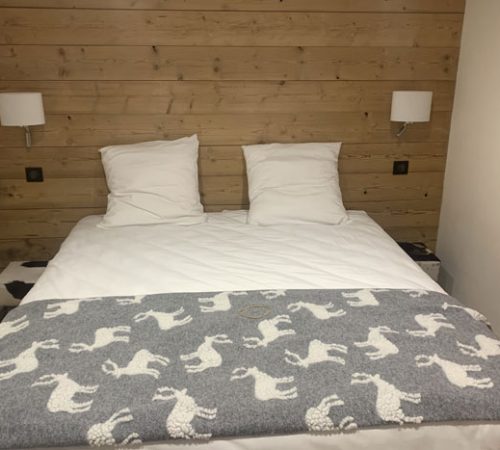 location-chalet-premium-champagny-le-haut-savoie-alpes-seminaires-vacances-montagne-3